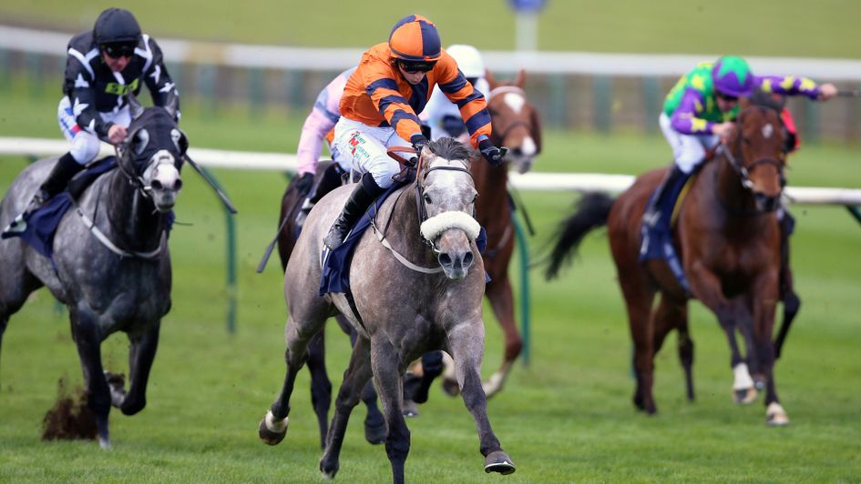 Big things are expected of Major Jumbo