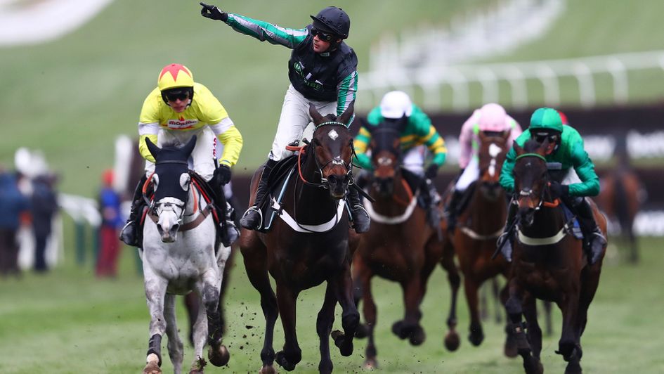 Altior was a four-time winner at the Cheltenham Festival