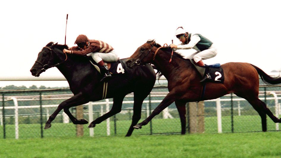 Markofdistinction wins the 1990 Queen Anne