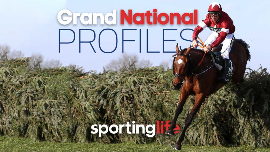 Randox Health Grand National profiles