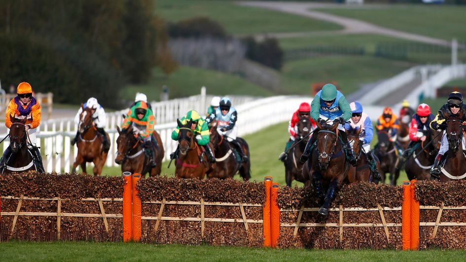 Midnight Shot in action at Cheltenham