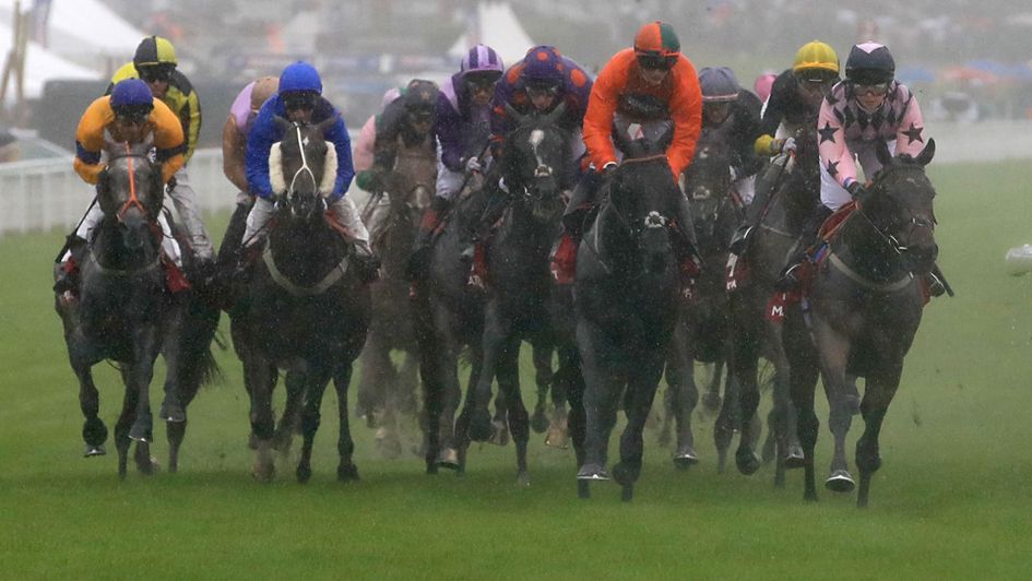 Eventual winner Cool Sky (grey cap) tracks the early pace