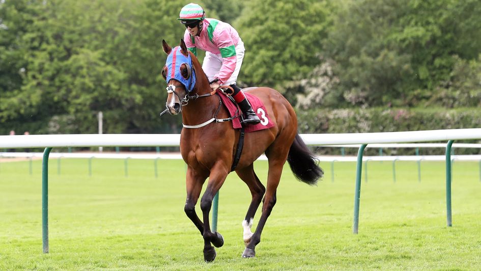 True Mason is a possible Stewards' Cup contender