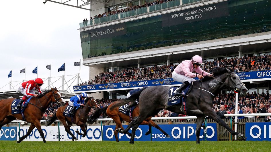 Winter stormed home for spring glory