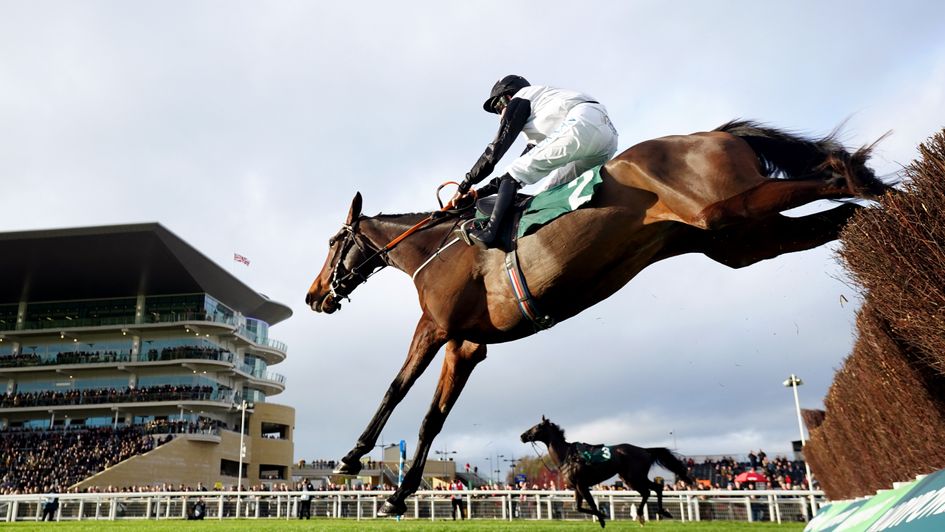 Gin On Lime and the riderless My Drogo