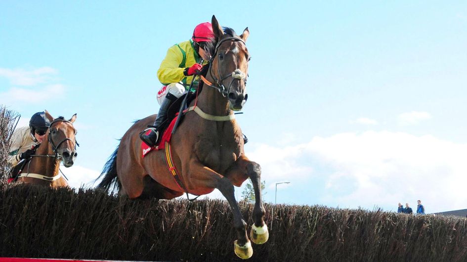 Shanahan's Turn: Worth a bet despite his long lay-off