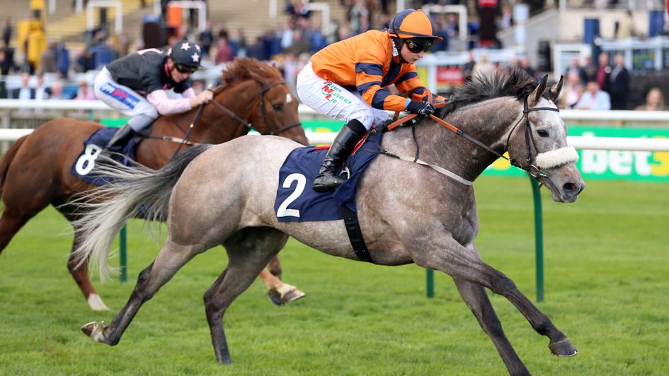 Major Jumbo - in winning action