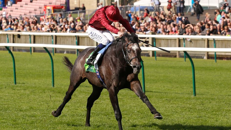 Roaring Lion