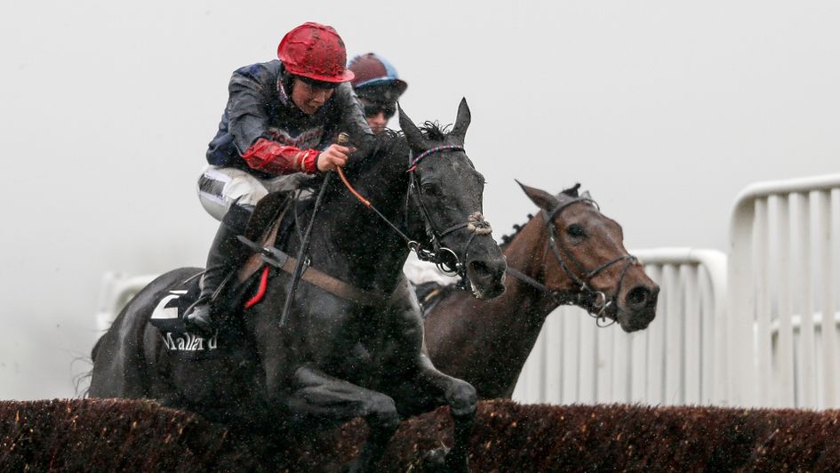 Black Corton jumps ahead of Ballyoptic