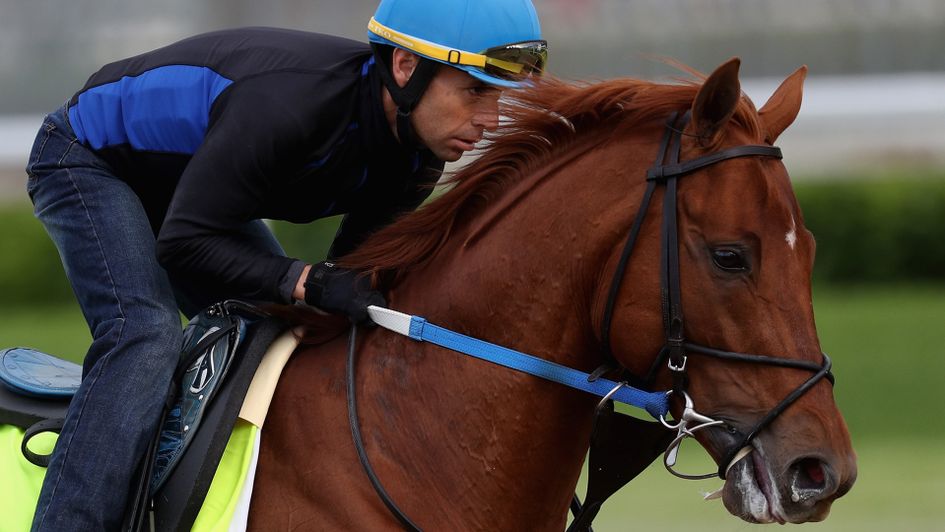 Gun Runner has had a sensational 2017