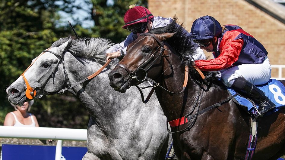 Power Of Darkness wins at Salisbury