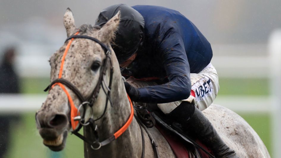 Snow Leopardess - edged Haydock thriller