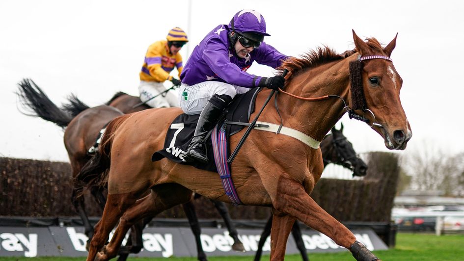 Mister Malarkey - each-way appeal at 40/1