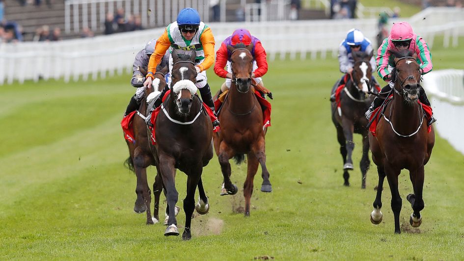 Forest Ranger beats War Decree at Chester