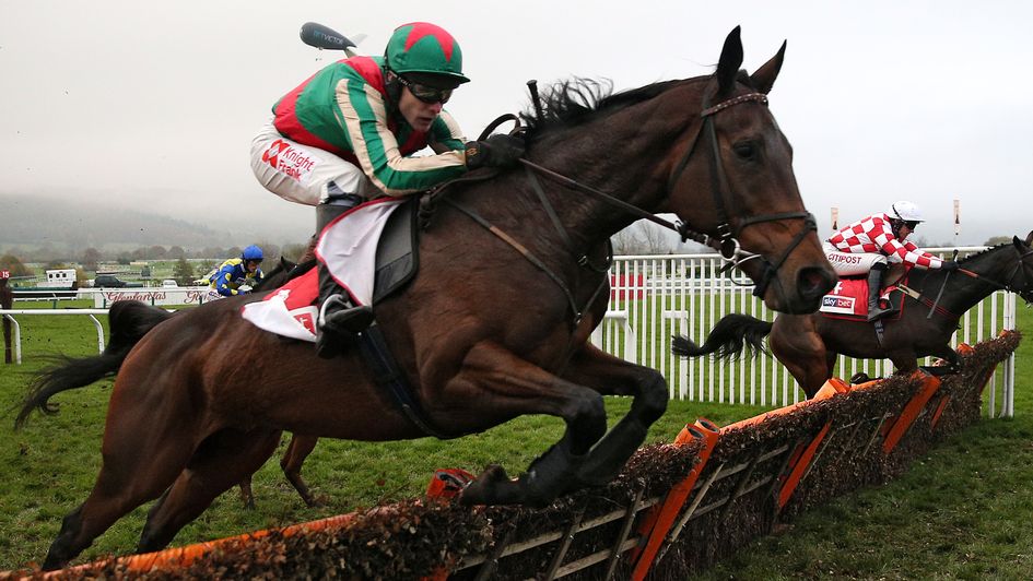 Eden Du Houx - Matt Brocklebank fancy