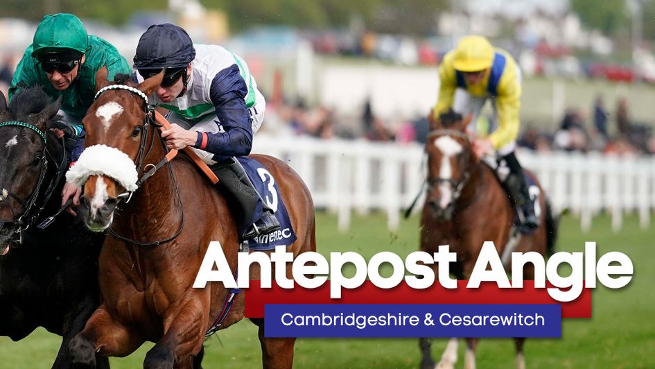 Le Don De Vie is a seriously progressive three-year-old