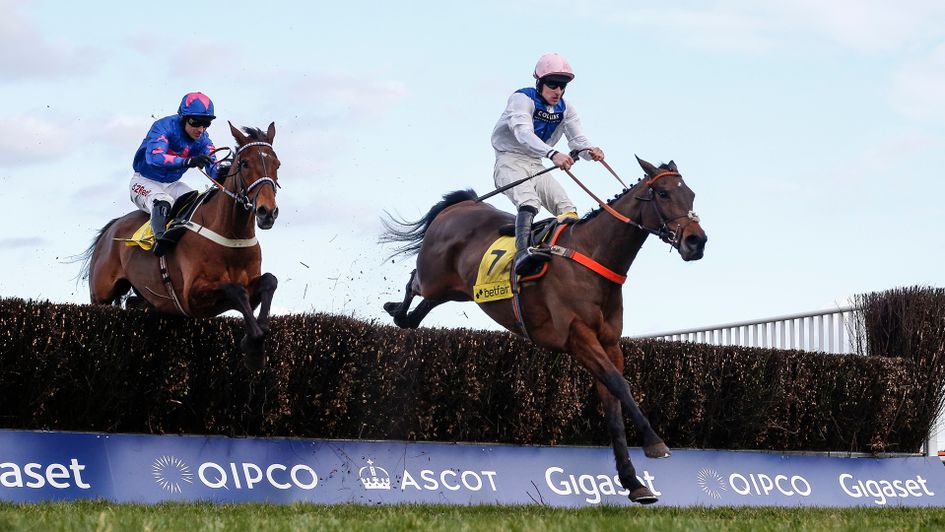 Waiting Patiently (right) jumps ahead of Cue Card