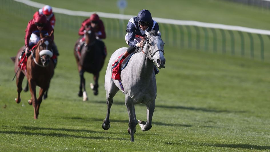 Sky Lantern left her Nell Gwyn comeback run well behind