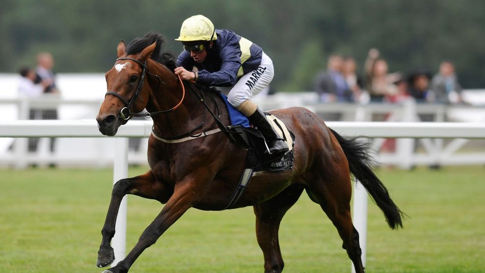 Nathaniel - sire of Enable