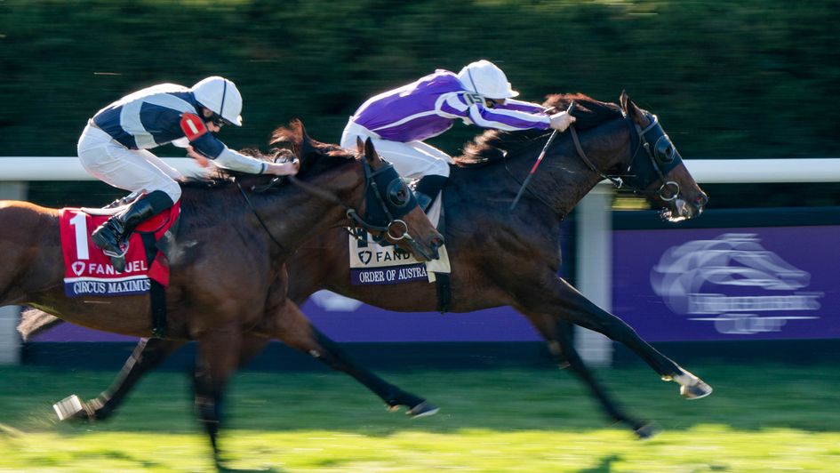 Order Of Australia beats Circus Maximus in the Breeders' Cup Mile