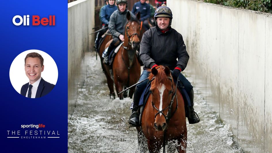 Samcro enjoying himself at home