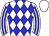 Horse silk