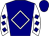 Horse silk