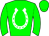 Horse silk