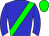 Horse silk