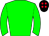 Horse silk