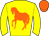 Horse silk