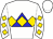 Horse silk