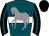 Horse silk