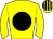 Horse silk