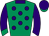 Horse silk