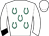 Horse silk