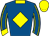 Horse silk