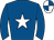Horse silk