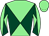 Horse silk