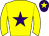 Horse silk
