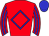 Horse silk