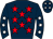 Horse silk