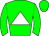 Horse silk
