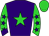 Horse silk