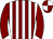 Horse silk
