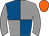 Horse silk