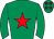 Horse silk