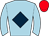 Horse silk