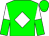 Horse silk
