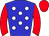 Horse silk